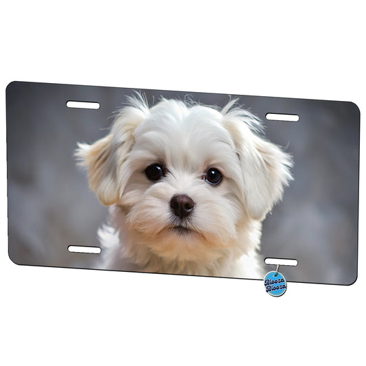 Maltese Dog Puppy Photo Metal Vanity Novelty Tag License Plate for Trucks Cars SUVs