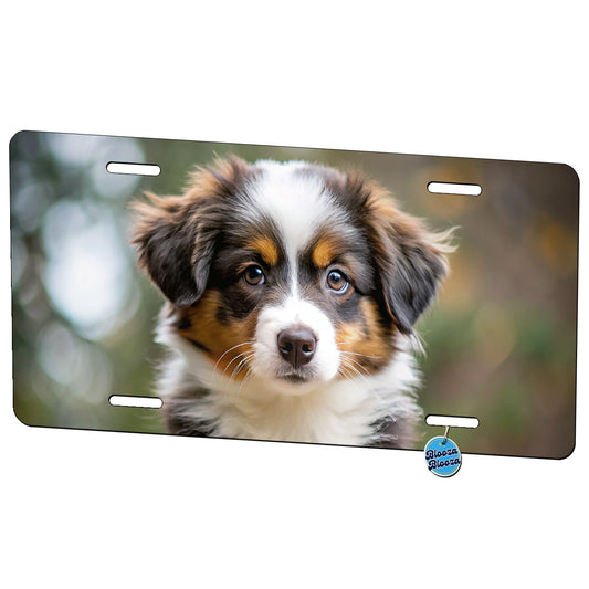 Miniature American Shepherd Dog Puppy Photo Metal Vanity Novelty Tag License Plate for Trucks Cars SUVs