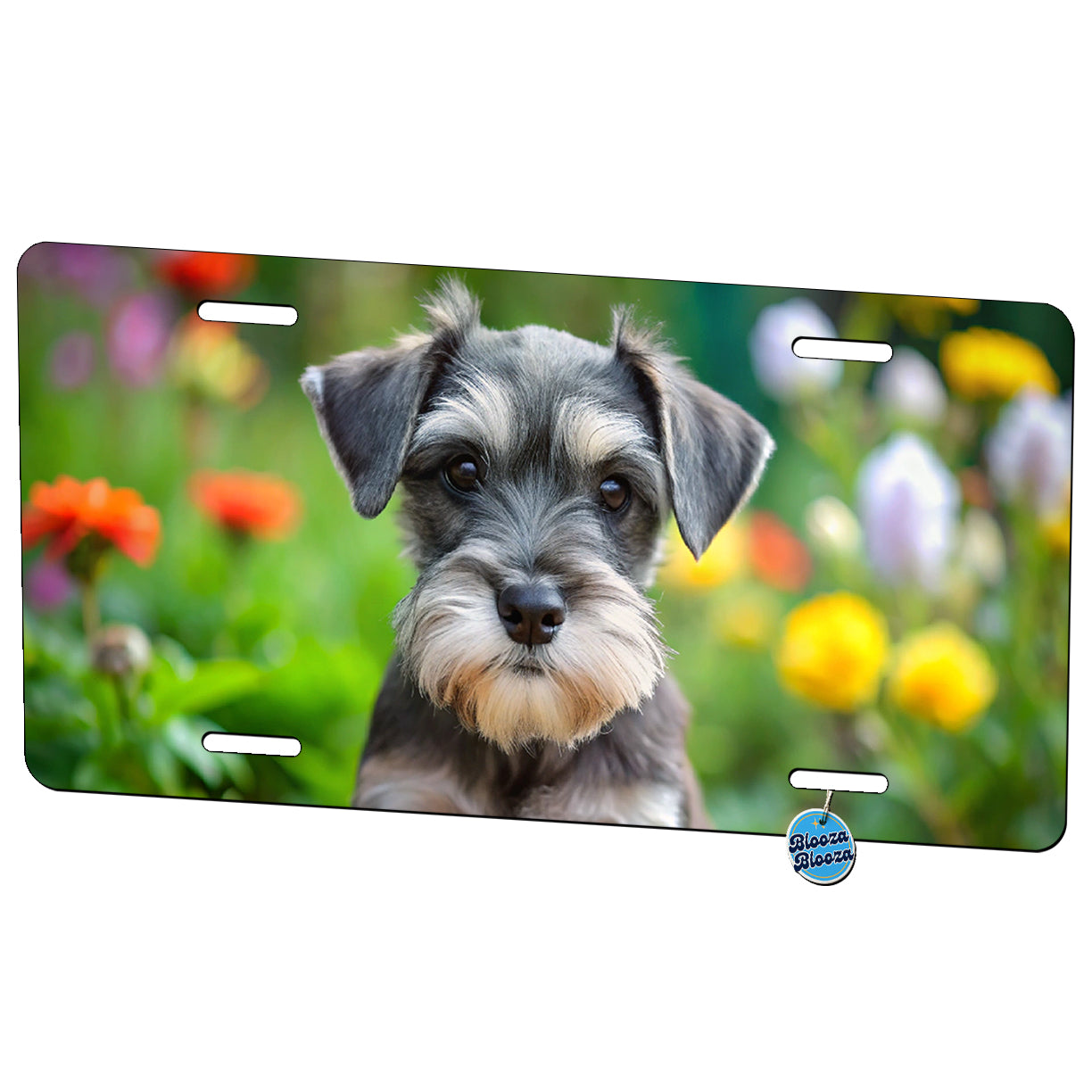 Miniature Schnauzer Dog Puppy Photo Metal Vanity Novelty Tag License Plate for Trucks Cars SUVs