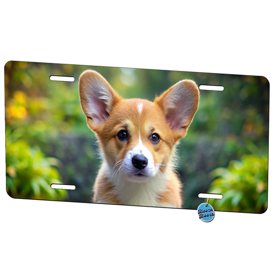Pembroke Welsh Corgi Dog Puppy Photo Metal Vanity Novelty Tag License Plate for Trucks Cars SUVs