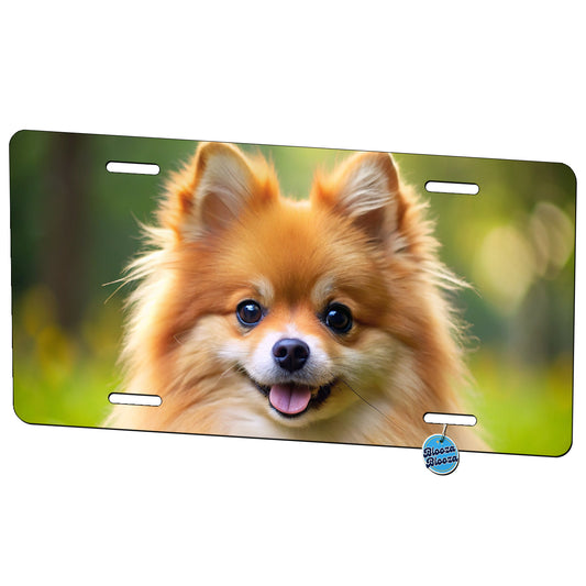 Pomeranian Dog Photo Metal Vanity Novelty Tag License Plate for Trucks Cars SUVs