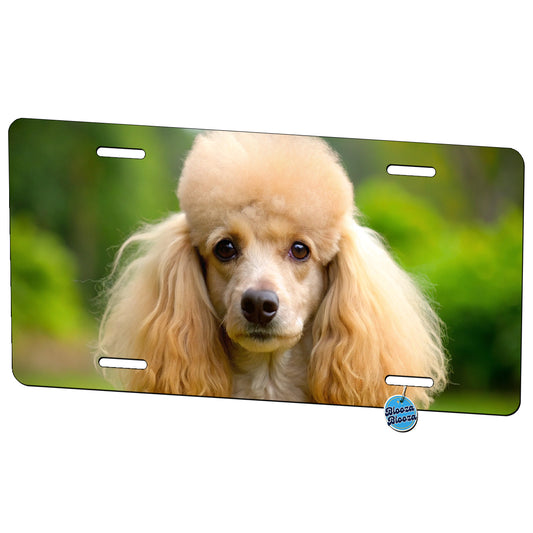 Poodle Dog Photo Metal Vanity Novelty Tag License Plate for Trucks Cars SUVs