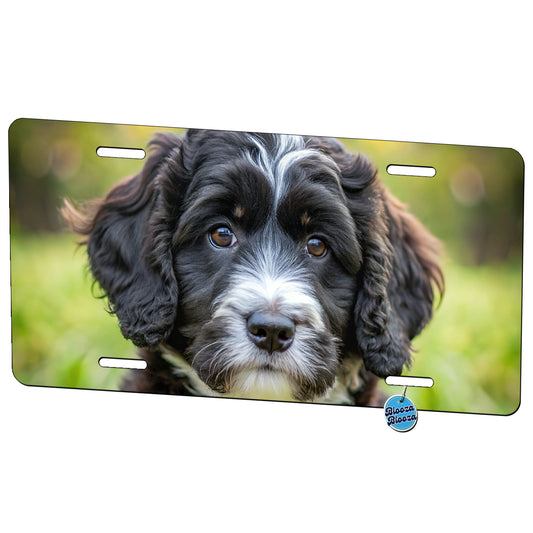 Portuguese Water Dog Puppy Photo Metal Vanity Novelty Tag License Plate for Trucks Cars SUVs