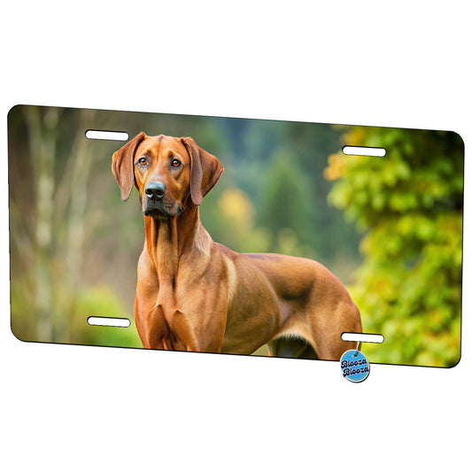 Rhodesian Ridgeback Dog Photo Metal Vanity Novelty Tag License Plate for Trucks Cars SUVs