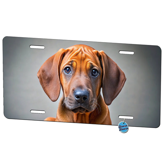 Rhodesian Ridgeback Dog Puppy Photo Metal Vanity Novelty Tag License Plate for Trucks Cars SUVs