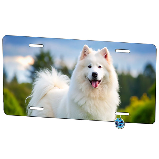 Samoyed Dog Photo Metal Vanity Novelty Tag License Plate for Trucks Cars SUVs