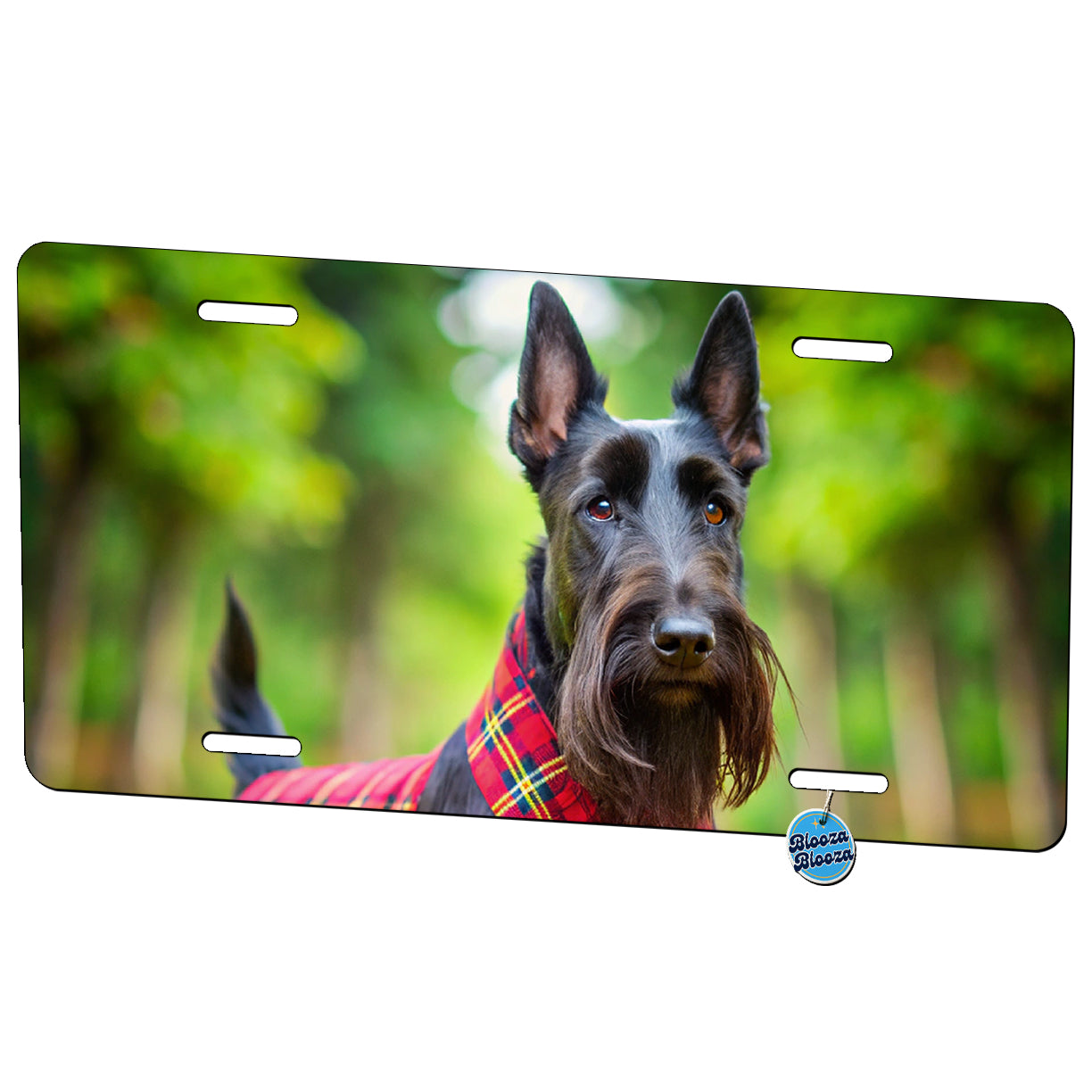 Scottish Terrier Dog Photo Metal Vanity Novelty Tag License Plate for Trucks Cars SUVs