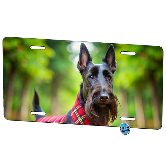 Scottish Terrier Dog Photo Metal Vanity Novelty Tag License Plate for Trucks Cars SUVs