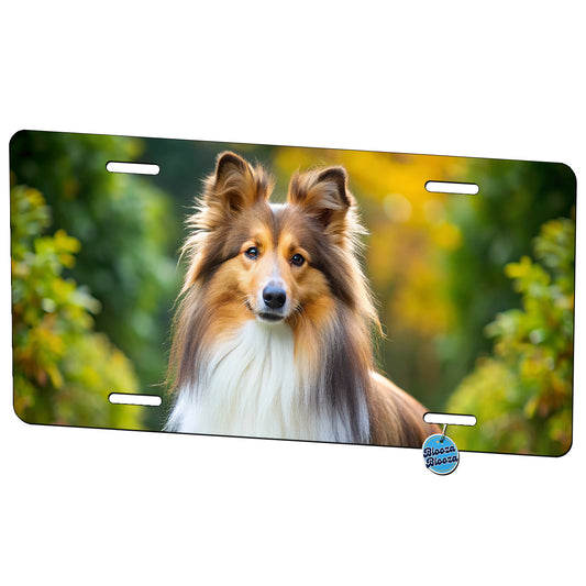 Shetland Sheepdog Sheltie Dog Photo Metal Vanity Novelty Tag License Plate for Trucks Cars SUVs