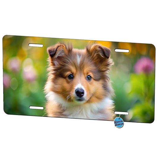 Shetland Sheepdog Sheltie Dog Puppy Photo Metal Vanity Novelty Tag License Plate for Trucks Cars SUVs