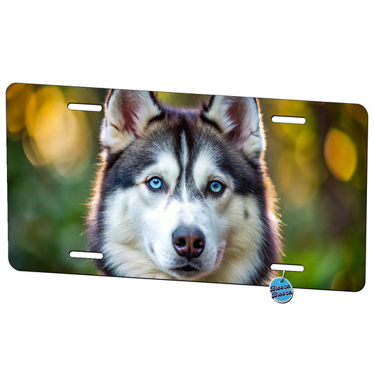 Siberian Husky Dog Photo Metal Vanity Novelty Tag License Plate for Trucks Cars SUVs