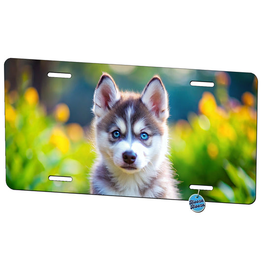Siberian Husky Dog Puppy Photo Metal Vanity Novelty Tag License Plate for Trucks Cars SUVs