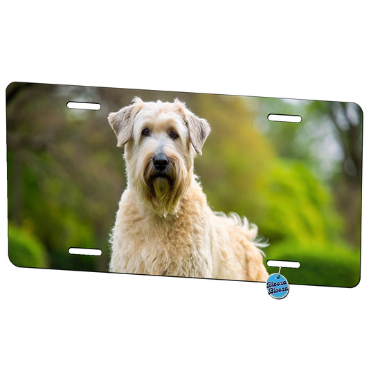 Soft Coated Wheaten Terrier Dog Photo Metal Vanity Novelty Tag License Plate for Trucks Cars SUVs