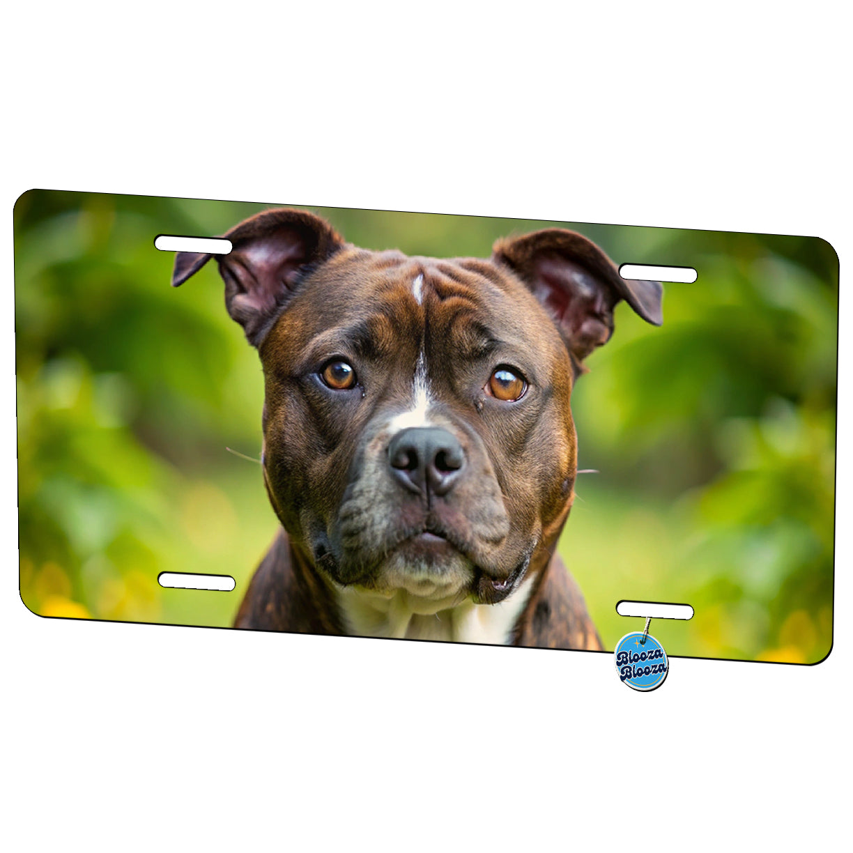 Staffordshire Bull Terrier Staffy Dog Photo Metal Vanity Novelty Tag License Plate for Trucks Cars SUVs