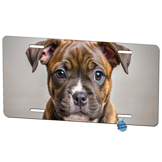 Staffordshire Bull Terrier Staffy Dog Puppy Photo Metal Vanity Novelty Tag License Plate for Trucks Cars SUVs