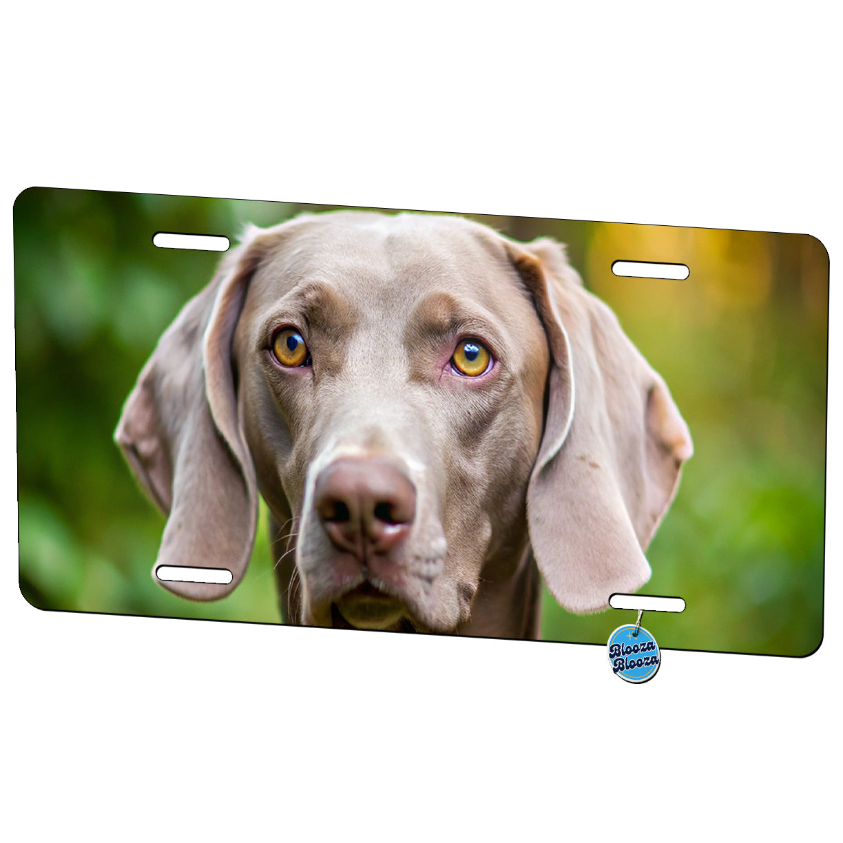 Weimaraner Dog Photo Metal Vanity Novelty Tag License Plate for Trucks Cars SUVs