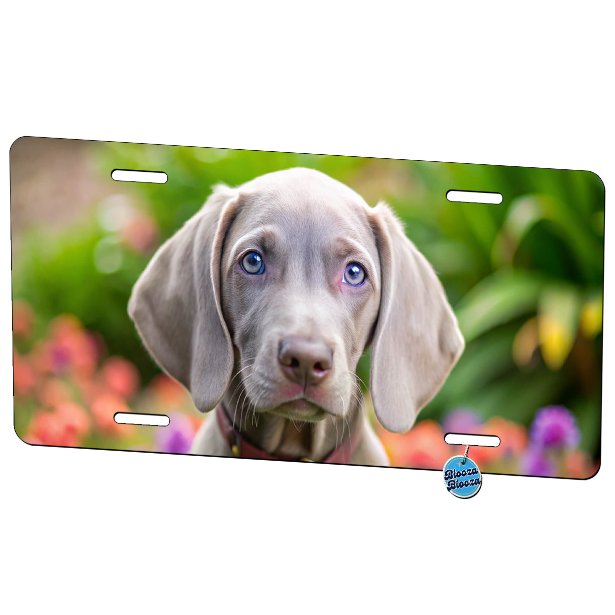 Weimaraner Dog Puppy Photo Metal Vanity Novelty Tag License Plate for Trucks Cars SUVs