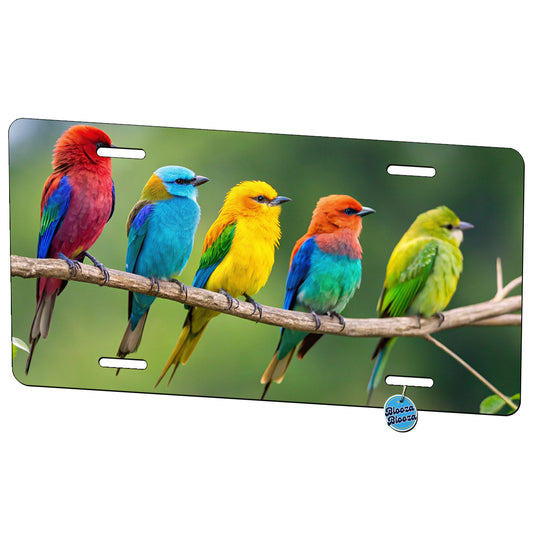 Colorful Birds In A Row Metal Vanity Novelty Tag License Plate for Trucks Cars SUVs