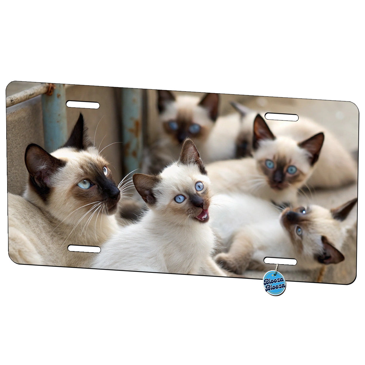 Bunch Of Siamese Cats Metal Vanity Novelty Tag License Plate for Trucks Cars SUVs
