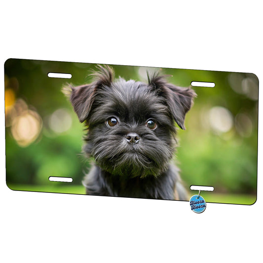 Affenpinscher Dog Puppy Photo Metal Vanity Novelty Tag License Plate for Trucks Cars SUVs