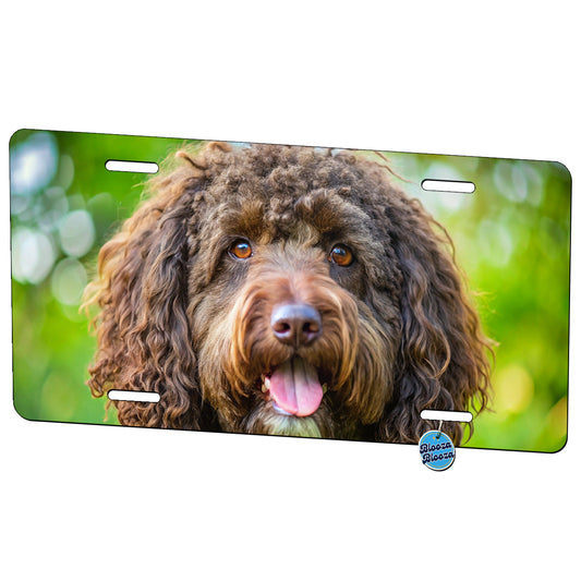 Barbet Dog Photo Metal Vanity Novelty Tag License Plate for Trucks Cars SUVs