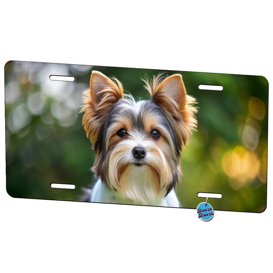 Biewer Terrier Dog Photo Metal Vanity Novelty Tag License Plate for Trucks Cars SUVs