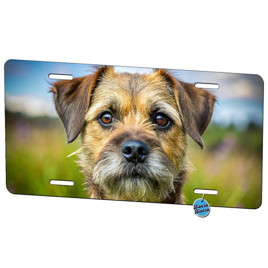 Border Terrier Dog Photo Metal Vanity Novelty Tag License Plate for Trucks Cars SUVs
