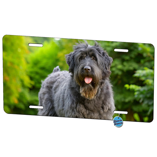 Bouviers Des Flandres Dog Photo Metal Vanity Novelty Tag License Plate for Trucks Cars SUVs