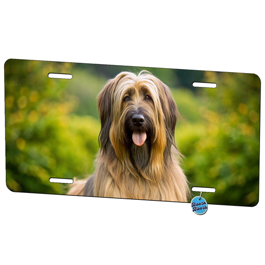 Briard Dog Photo Metal Vanity Novelty Tag License Plate for Trucks Cars SUVs