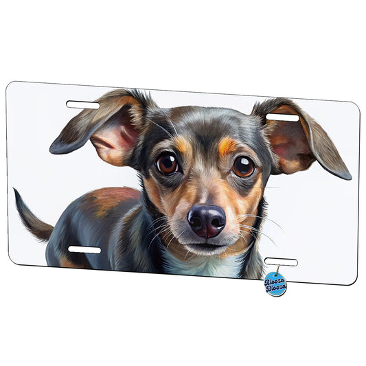 Chiweenie Dog Illustration Metal Vanity Novelty Tag License Plate for Trucks Cars SUVs
