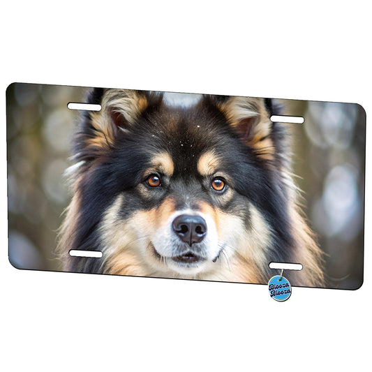 Finnish Lapphund Dog Photo Metal Vanity Novelty Tag License Plate for Trucks Cars SUVs