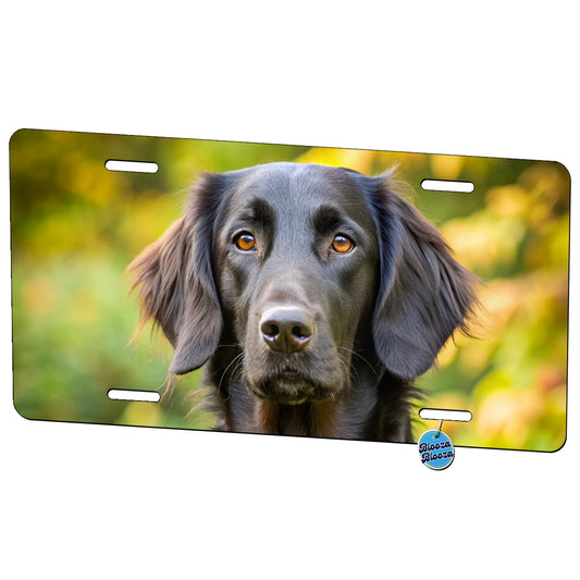 Flat Coated Retriever Dog Photo Metal Vanity Novelty Tag License Plate for Trucks Cars SUVs