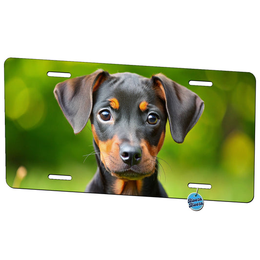 German Pinscher Dog Puppy Photo Metal Vanity Novelty Tag License Plate for Trucks Cars SUVs