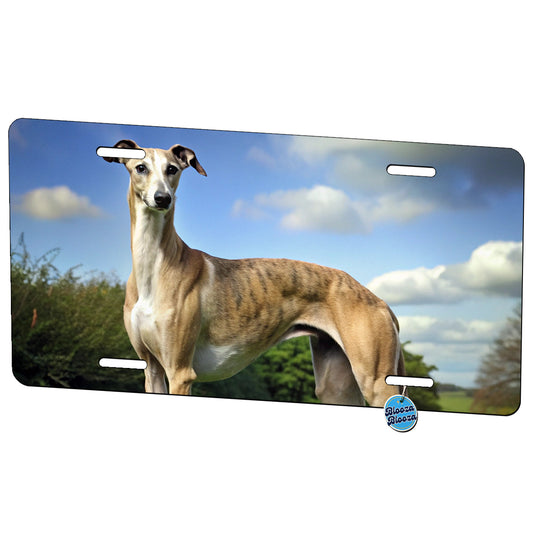 Greyhound Dog Photo Metal Vanity Novelty Tag License Plate for Trucks Cars SUVs
