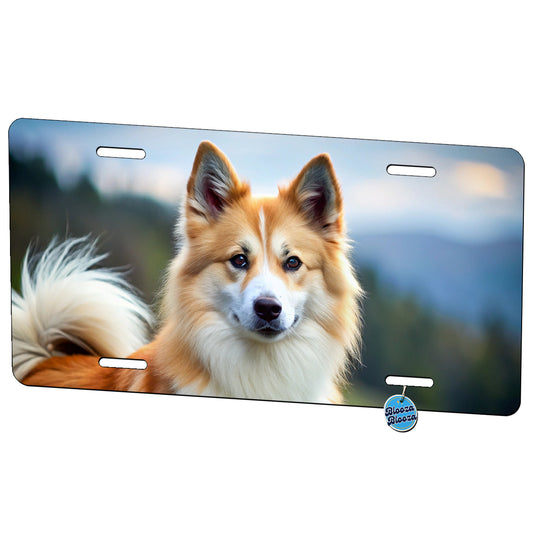Icelandic Sheepdog Dog Photo Metal Vanity Novelty Tag License Plate for Trucks Cars SUVs