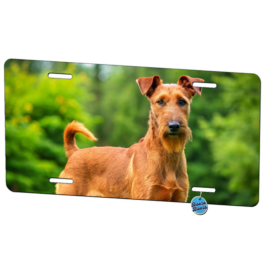 Irish Terrier Dog Photo Metal Vanity Novelty Tag License Plate for Trucks Cars SUVs