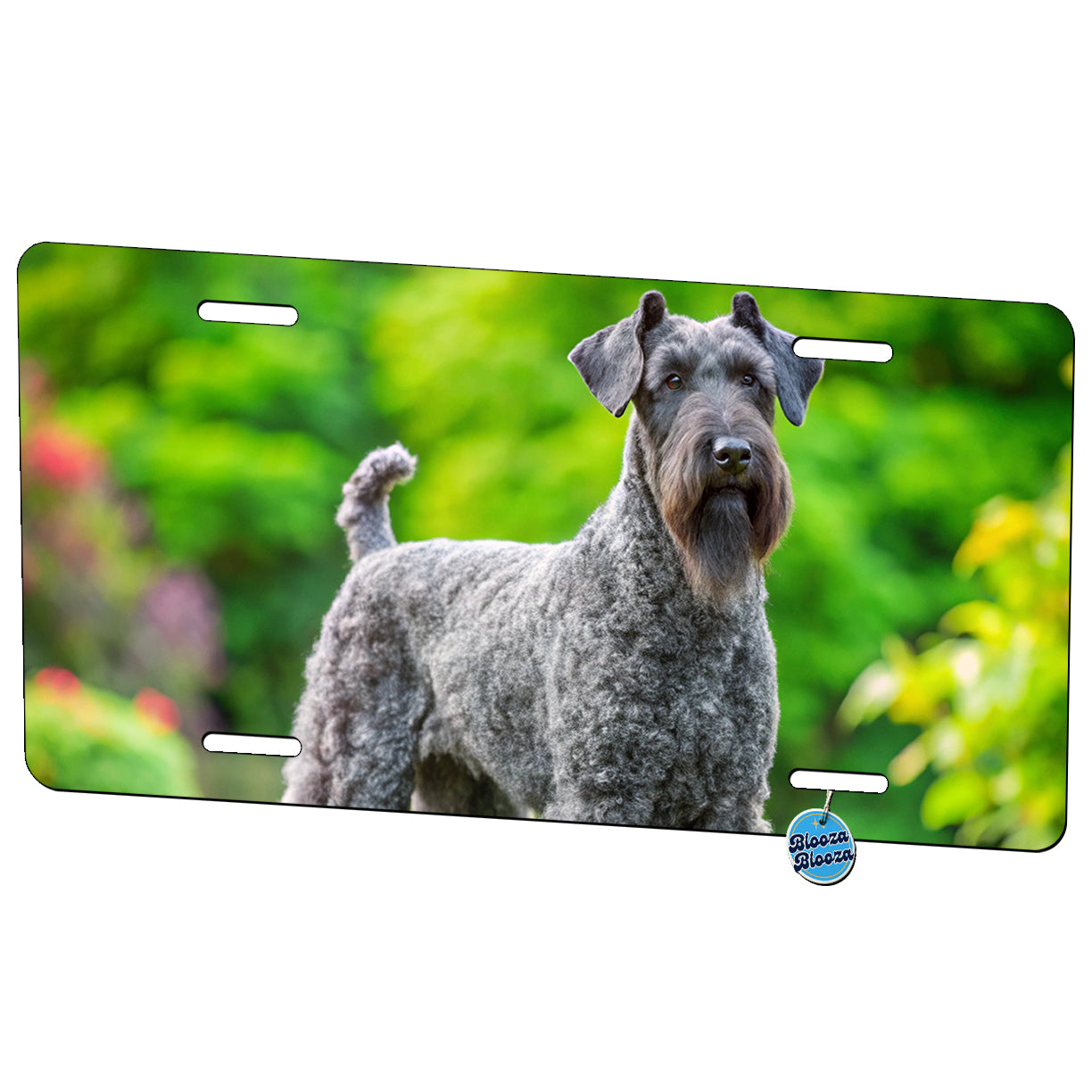 Kerry Blue Terrier Dog Photo Metal Vanity Novelty Tag License Plate for Trucks Cars SUVs
