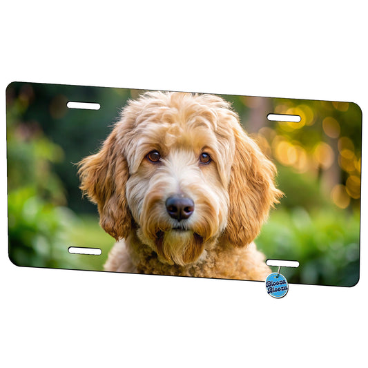 Labradoodle Dog Photo Metal Vanity Novelty Tag License Plate for Trucks Cars SUVs