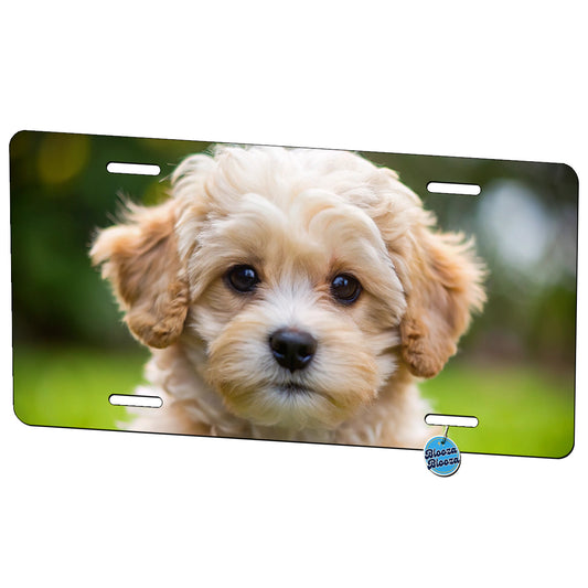 Maltipoo Dog Puppy Photo Metal Vanity Novelty Tag License Plate for Trucks Cars SUVs