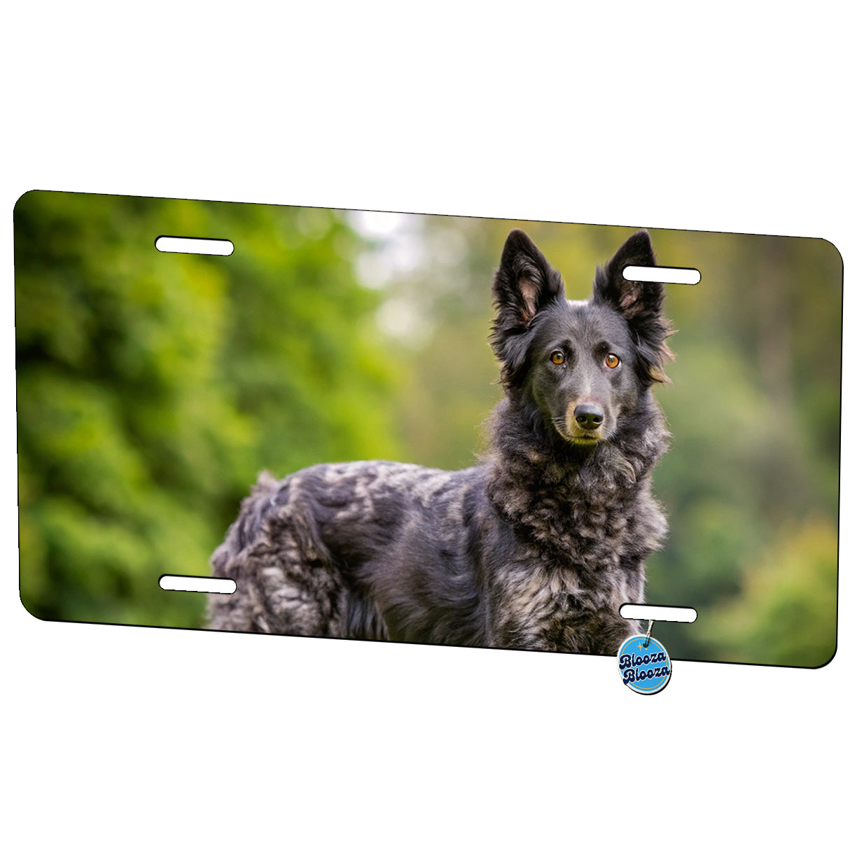 Mudi Dog Photo Metal Vanity Novelty Tag License Plate for Trucks Cars SUVs