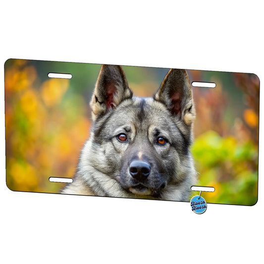 Norwegian Elkhound Dog Photo Metal Vanity Novelty Tag License Plate for Trucks Cars SUVs