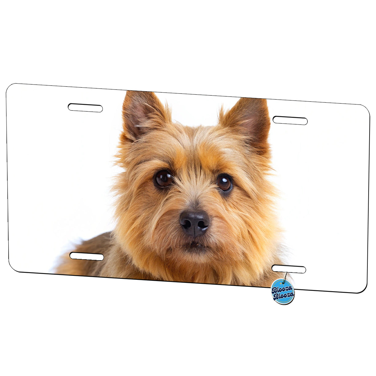 Norwich Terrier Dog Photo Metal Vanity Novelty Tag License Plate for Trucks Cars SUVs