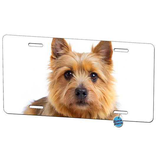 Norwich Terrier Dog Photo Metal Vanity Novelty Tag License Plate for Trucks Cars SUVs