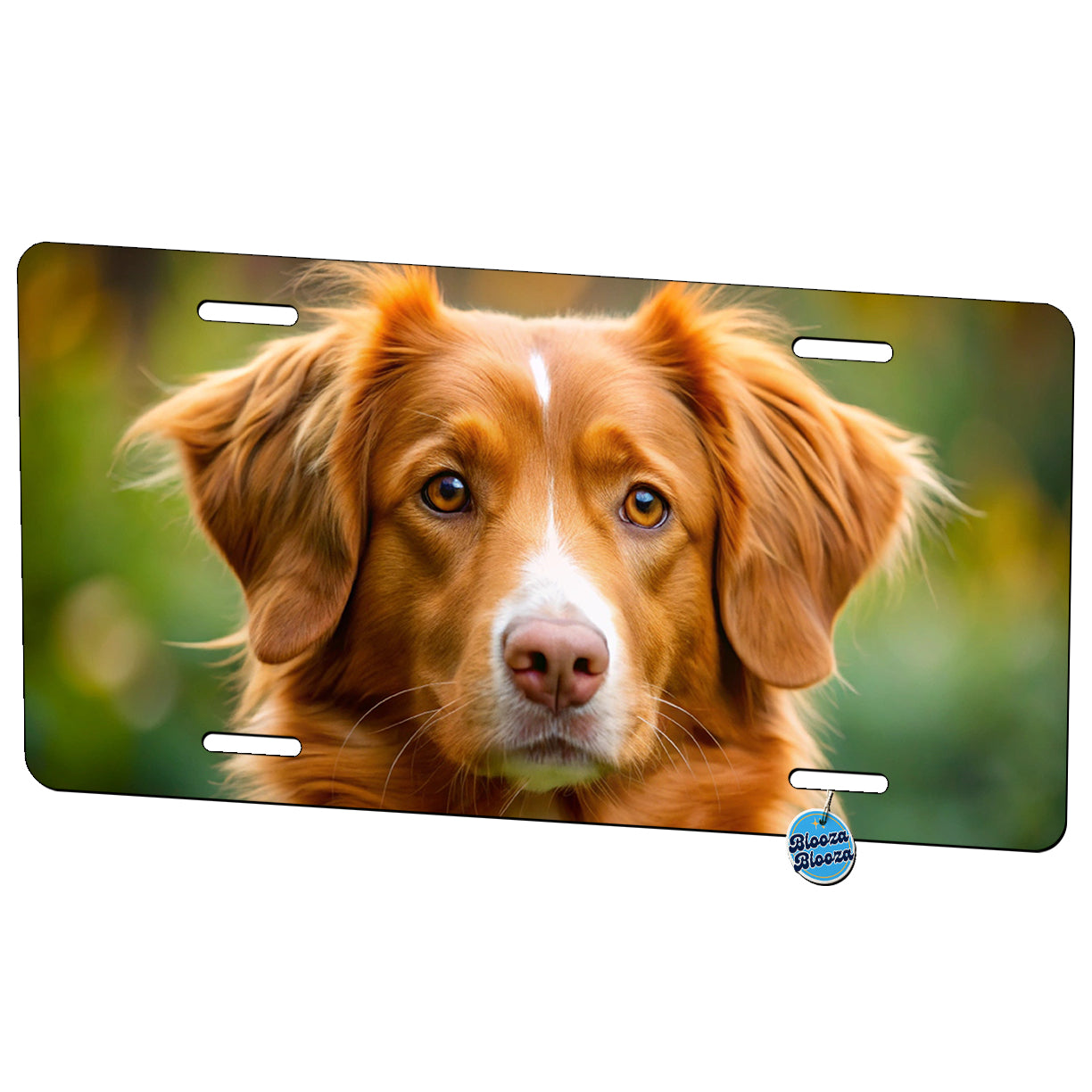 Nova Scotia Duck Tolling Retriever Dog Photo Metal Vanity Novelty Tag License Plate for Trucks Cars SUVs
