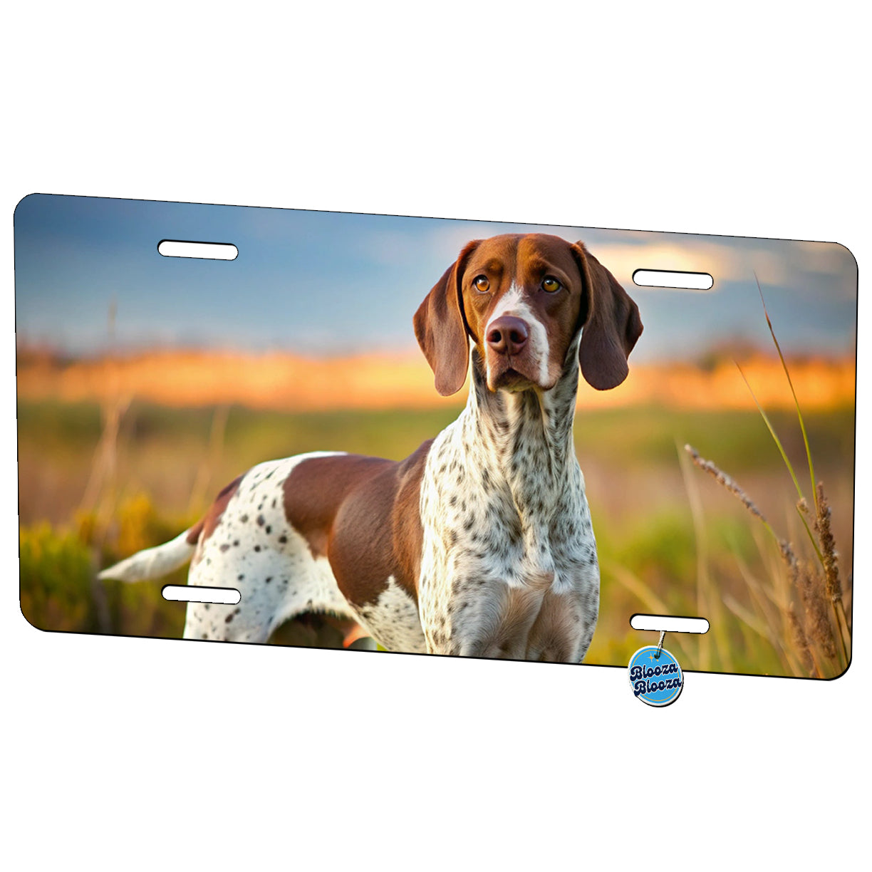 Pointer Dog Photo Metal Vanity Novelty Tag License Plate for Trucks Cars SUVs