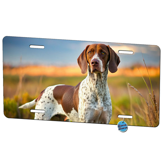 Pointer Dog Photo Metal Vanity Novelty Tag License Plate for Trucks Cars SUVs
