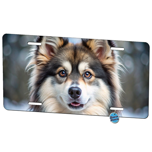 Pomsky Dog Photo Metal Vanity Novelty Tag License Plate for Trucks Cars SUVs