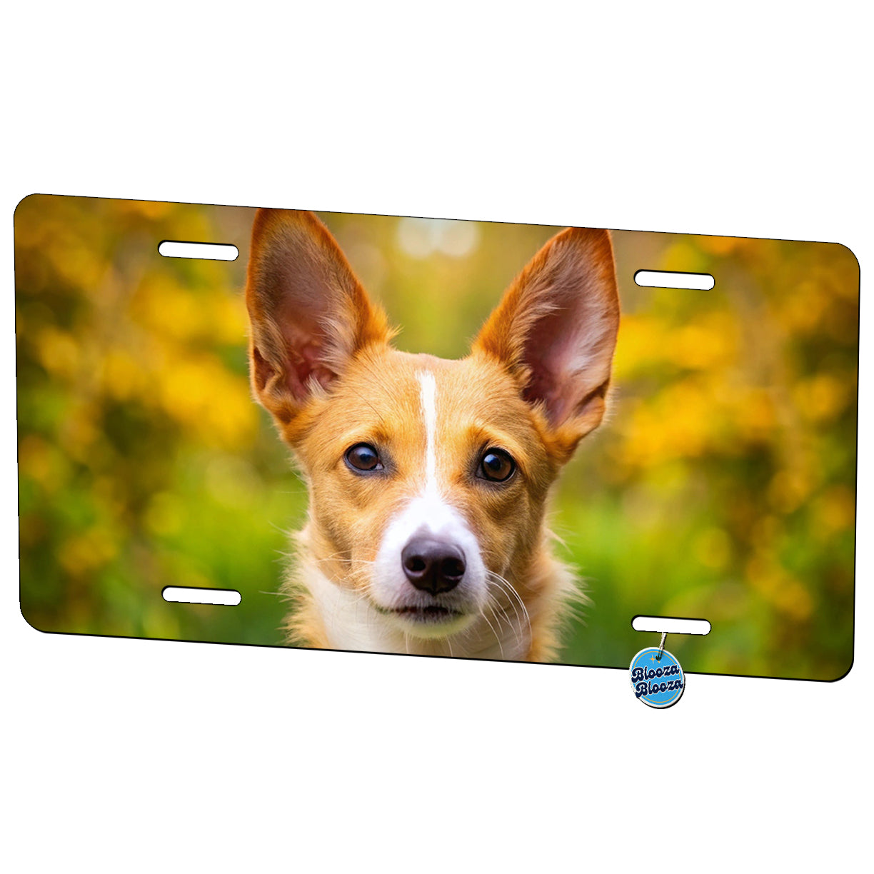 Portuguese Podengo Pequeno Dog Photo Metal Vanity Novelty Tag License Plate for Trucks Cars SUVs