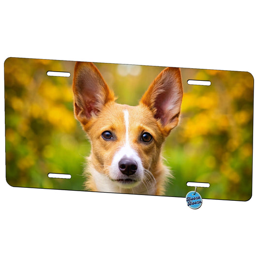 Portuguese Podengo Pequeno Dog Photo Metal Vanity Novelty Tag License Plate for Trucks Cars SUVs