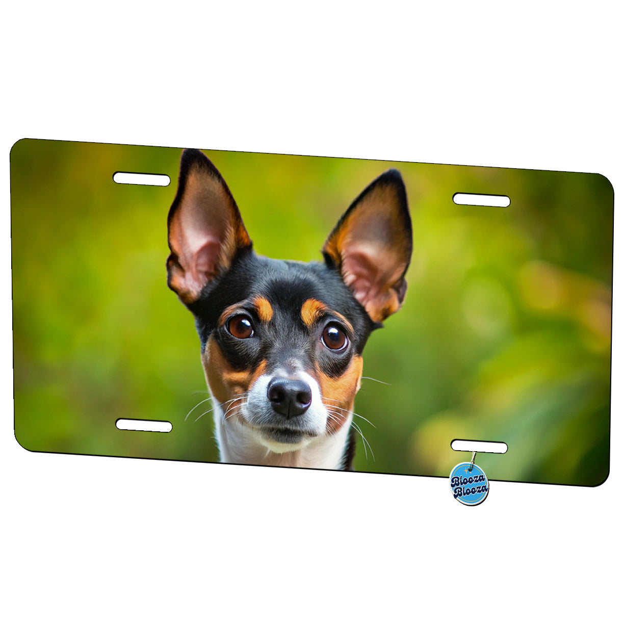 Rat Terrier Dog Photo Metal Vanity Novelty Tag License Plate for Trucks Cars SUVs